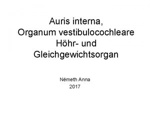 Auris interna Organum vestibulocochleare Hhr und Gleichgewichtsorgan Nmeth