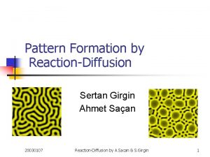 Pattern Formation by ReactionDiffusion Sertan Girgin Ahmet Saan