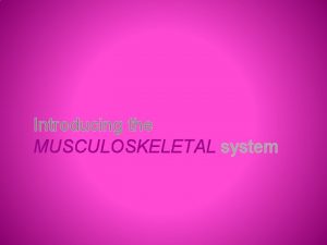 Musculoskeletal system