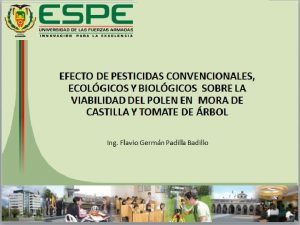 EFECTO DE PESTICIDAS CONVENCIONALES ECOLGICOS Y BIOLGICOS SOBRE