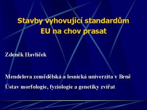 Stavby vyhovujc standardm EU na chov prasat Zdenk