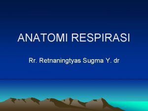 ANATOMI RESPIRASI Rr Retnaningtyas Sugma Y dr Bag