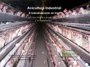 Avicultura Industrial A Industrializao da Vida Uma viso