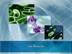 Las Bacterias Introduccin n Las bacterias son microorganismos
