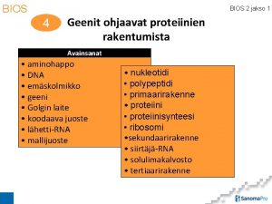 BIOS 2 jakso 1 4 Geenit ohjaavat proteiinien