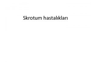 Skrotum