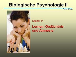 Biologische Psychologie II Peter Walla Kapitel 11 Lernen