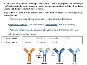 Il tentativo di generare anticorpi monoclonali umani impiegando