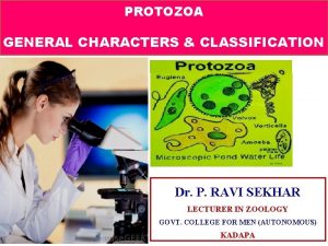 General character of protozoa