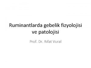 Ruminantlarda gebelik fizyolojisi ve patolojisi Prof Dr Rfat