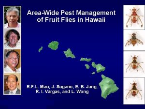 AreaWide Pest Management of Fruit Flies in Hawaii