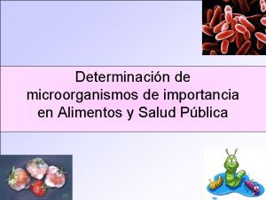 Determinacin de microorganismos de importancia en Alimentos y