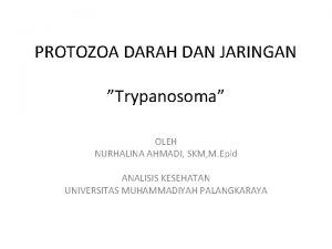 Stadium trypanosoma