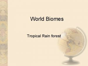 World Biomes Tropical Rain forest Distribution of biome