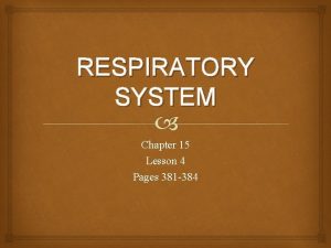 Chapter 15 lesson 2 the respiratory system