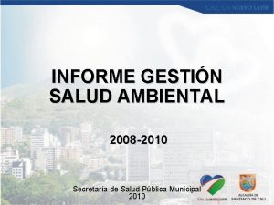 INFORME GESTIN SALUD AMBIENTAL 2008 2010 Secretara de