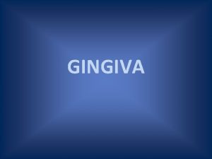 GINGIVA Introduction Macroanatomy of Gingiva Marginal Gingiva Gingival
