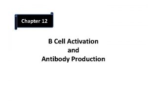 Chapter 12 B Cell Activation and Antibody Production