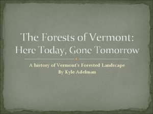 The Forests of Vermont Here Today Gone Tomorrow