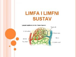 Kako nastaje limfa