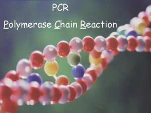 PCR Polymerase Chain Reaction Idealizada por Kary Mullis