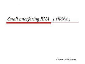 Small interfering RNA si RNA Cristina Teixid Febrero