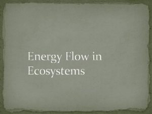 Energy Flow in Ecosystems Definitions Autotrophs an organism