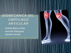 Biomecanica del cartilago