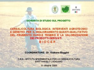 GIORNATA DI STUDIO SUL PROGETTO CEREALICOLTURA BIOLOGICA INTERVENTI