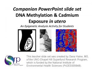 Companion Power Point slide set DNA Methylation Cadmium