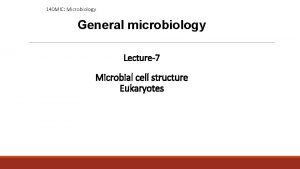 140 MIC Microbiology General microbiology Lecture7 Microbial cell