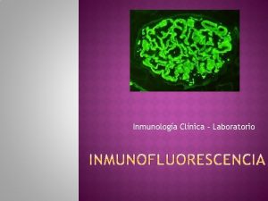 Inmunofluorescencia indirecta ifi