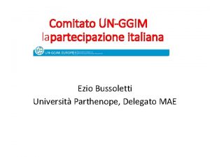 Comitato UNGGIM lapartecipazione italiana Ezio Bussoletti Universit Parthenope