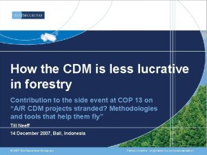 How the CDM is less lucrative in forestry