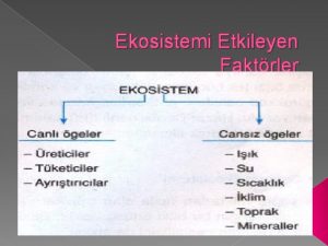 Ekosistemi etkileyen faktörler