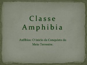 Classe Amphibia Anfbios O incio da Conquista do