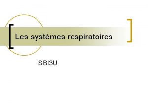 Respiration externe Respiration externe
