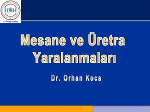 üretra yaralanması