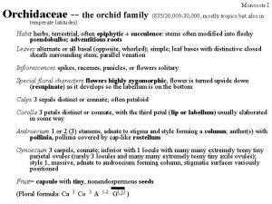 Monocots I Orchidaceae the orchid family 83520 000