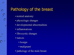 Pathology of the breast normal anatomy physiologic changes