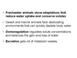 Freshwater animals and adaptations