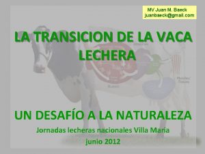 MV Juan M Baeck juanbaeckgmail com LA TRANSICION