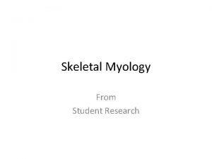 Skeletal Myology From Student Research Gluteus Maximus Gluteus