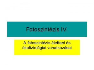 Fotoszintzis IV A fotoszintzis lettani s kofiziolgiai vonatkozsai