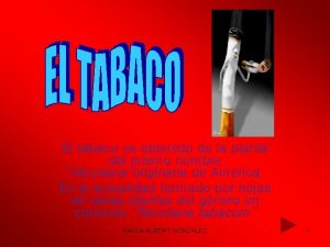 El tabaco es obtenido de la planta del