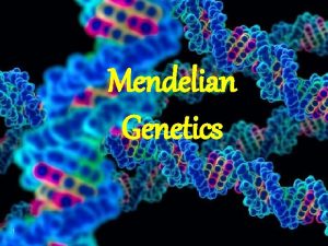 Heredity terminology