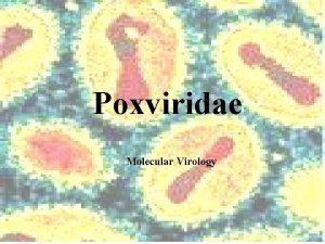 Poxviridae Molecular Virology Introduction Poxciruses have been known