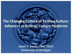 Embryo slide culture dish