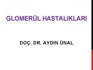GLOMERL HASTALIKLARI DO DR AYDIN NAL ABDOMNAL AORTA
