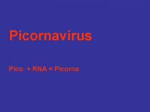 Picornavirus Pico RNA Picorna Virion is a naked
